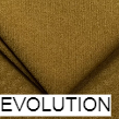 evolution
